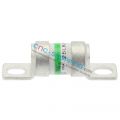HINODE 25LKA100B Fuse 100A 250VAC 350VDC (2 Pcs)